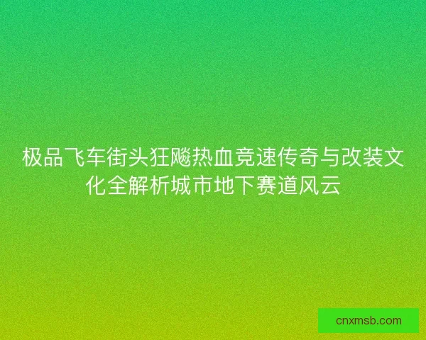极品飞车街头狂飚热血竞速传奇与改装文化全解析城市地下赛道风云