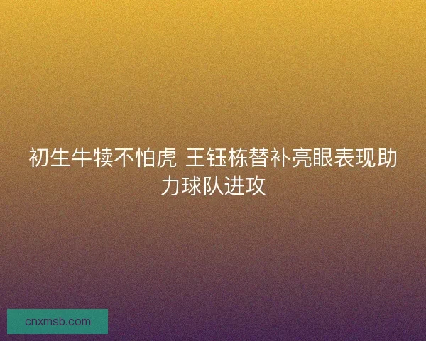 初生牛犊不怕虎 王钰栋替补亮眼表现助力球队进攻