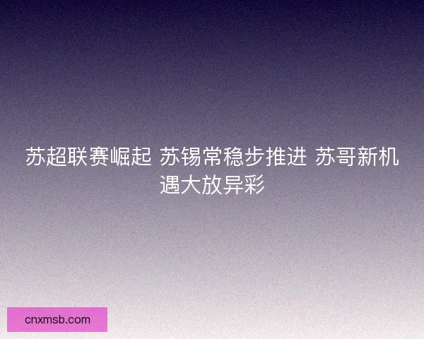 苏超联赛崛起 苏锡常稳步推进 苏哥新机遇大放异彩