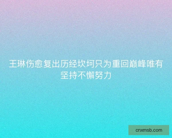 王琳伤愈复出历经坎坷只为重回巅峰唯有坚持不懈努力