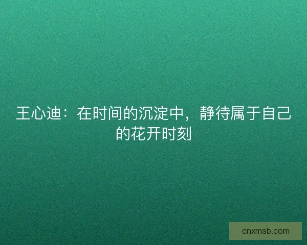 王心迪：在时间的沉淀中，静待属于自己的花开时刻