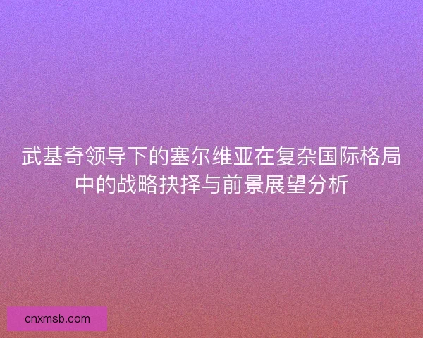 武基奇领导下的塞尔维亚在复杂国际格局中的战略抉择与前景展望分析